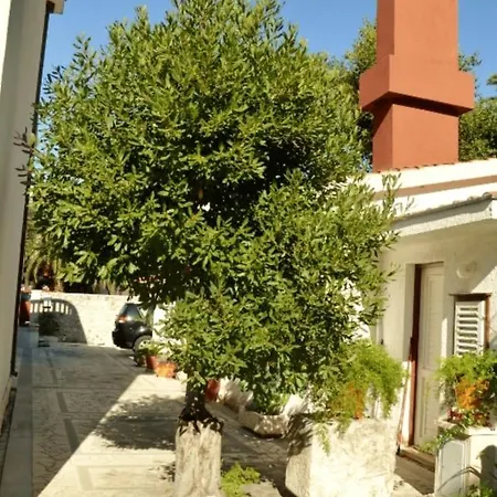 Apartman Vila Danica
